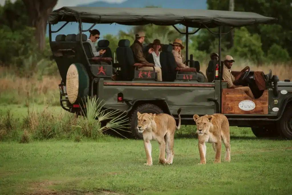 Game Viewing
