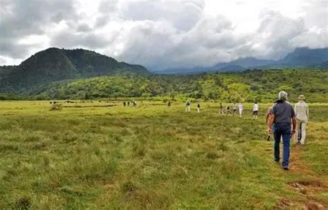 Long walking safari (Chorangwa Hiking Trail)