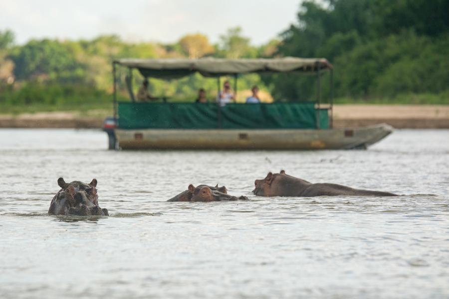 Nyerere Wildlife & Landscapes