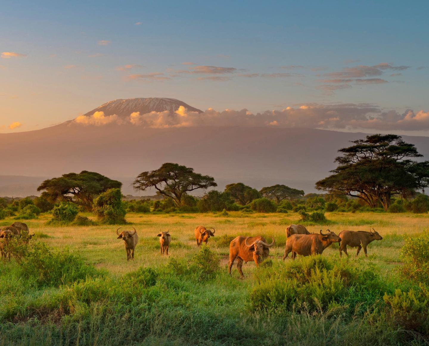 Tanzania National Parks - Unforgettable Adventures