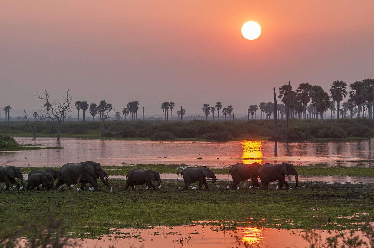 Ruaha Habitat