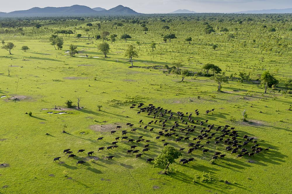 Nyerere National Park — Rufiji River