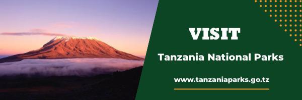 Lake Tanganyika Shoreline Clean‑Up