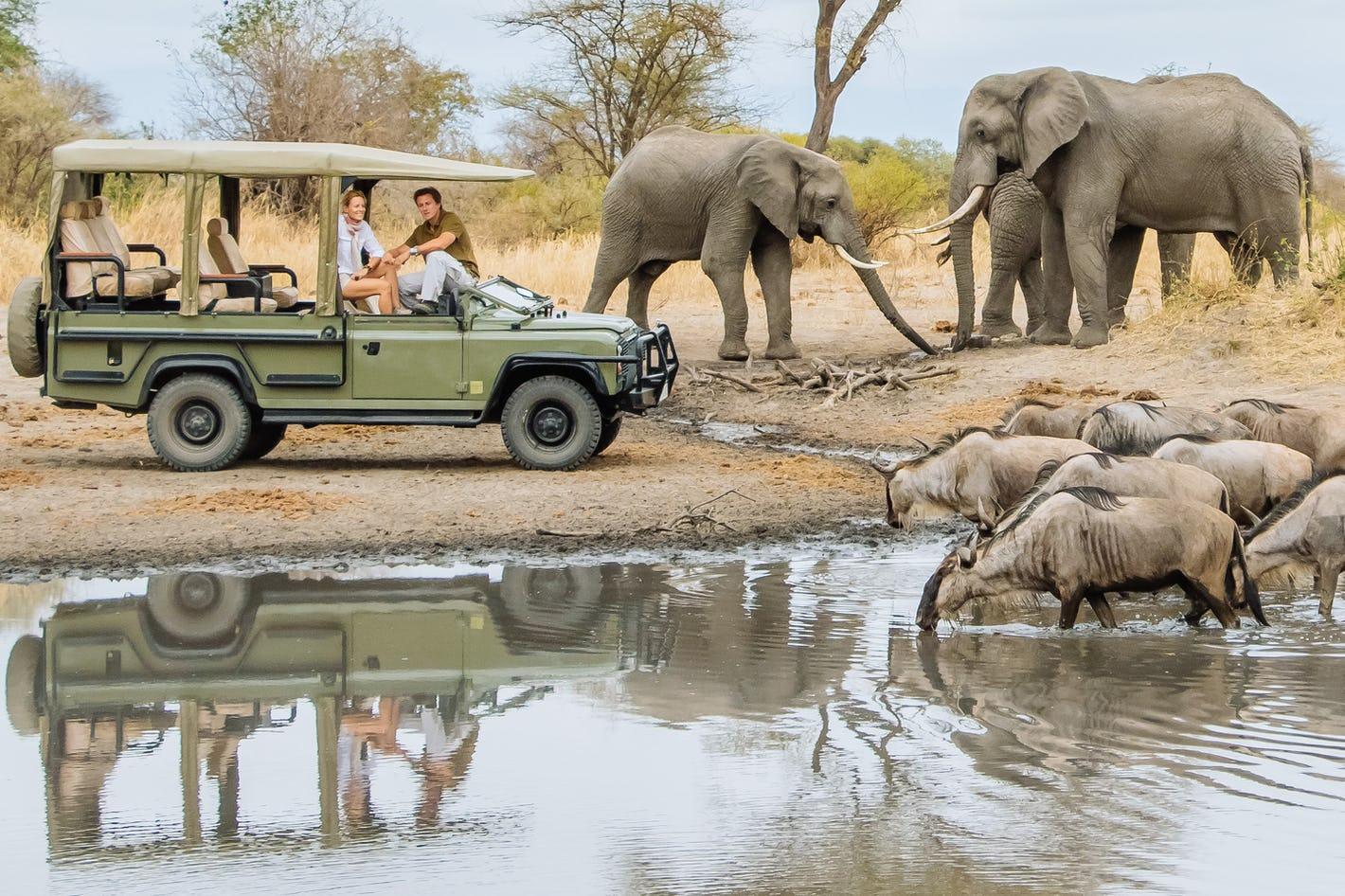 Day Game Drive