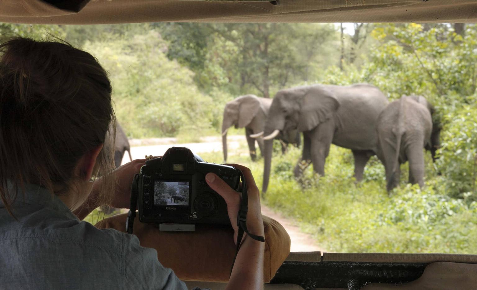 Filming and Photographing