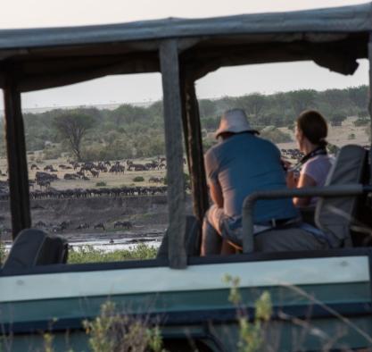 Game Drives