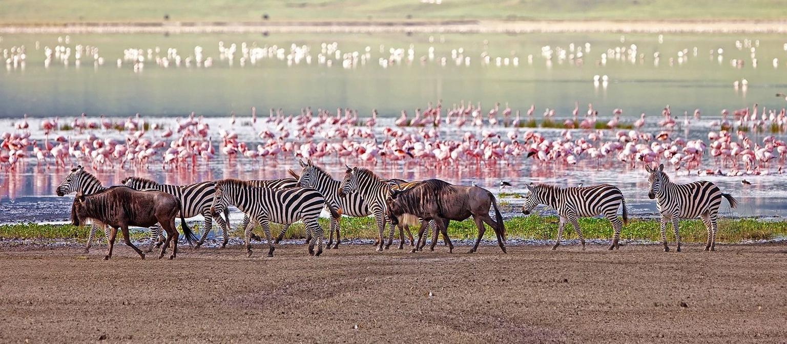 Game Drives