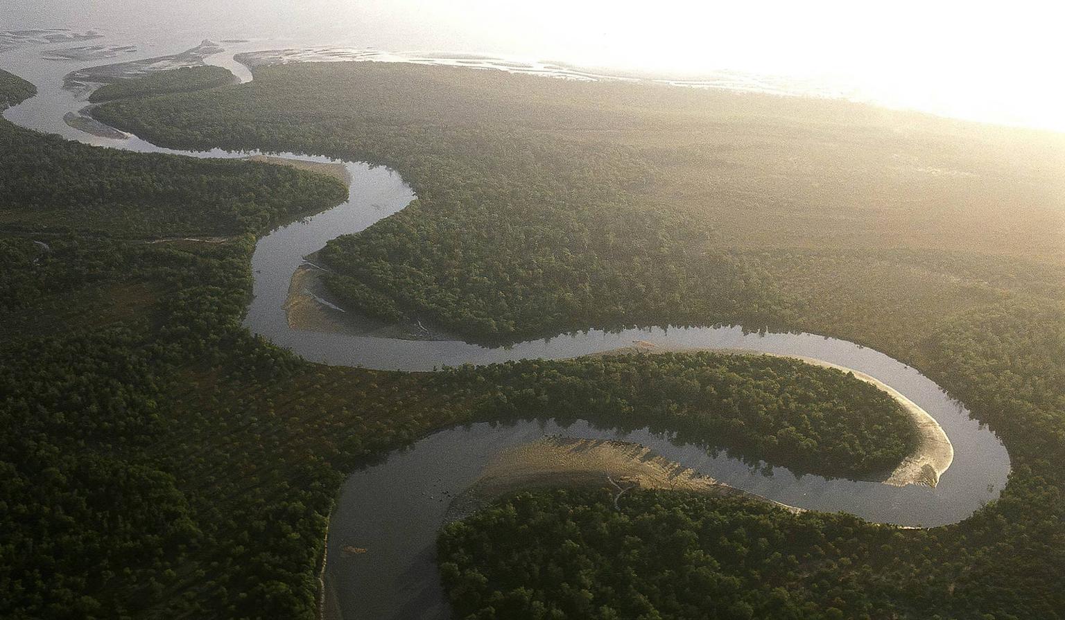 Wami River Estuary