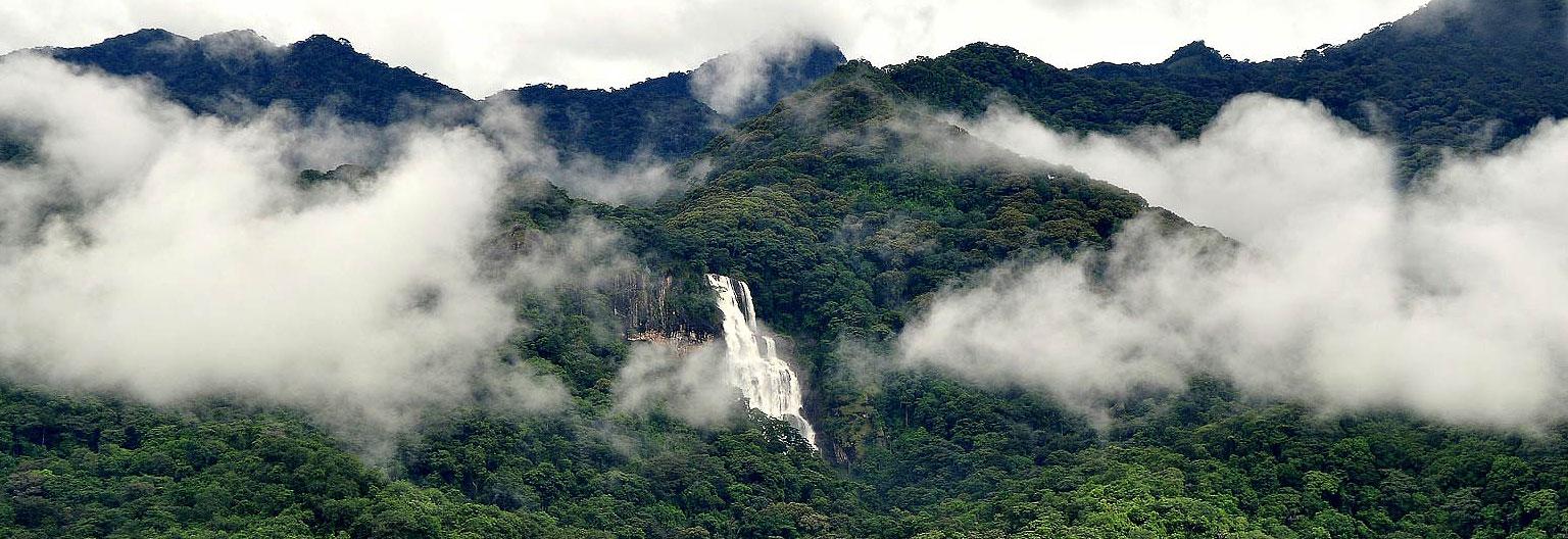 Udzungwa Mountains National Park — Rainforest & Waterfalls