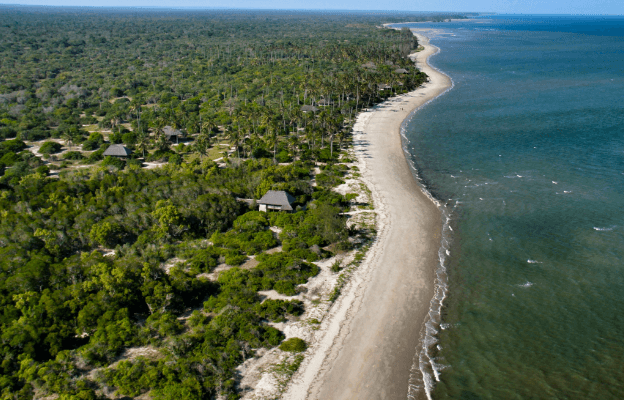 Coastal & Forest Species