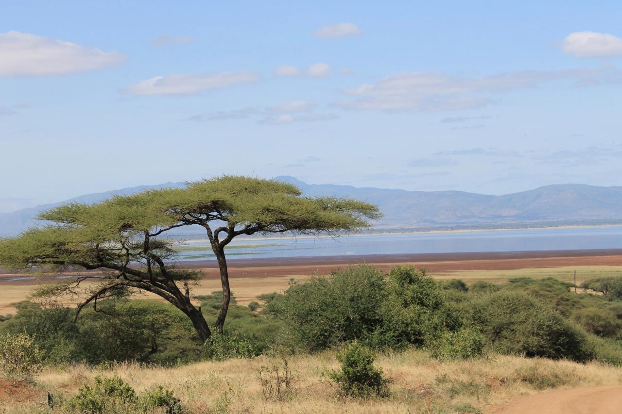 Lake Manyara habitats