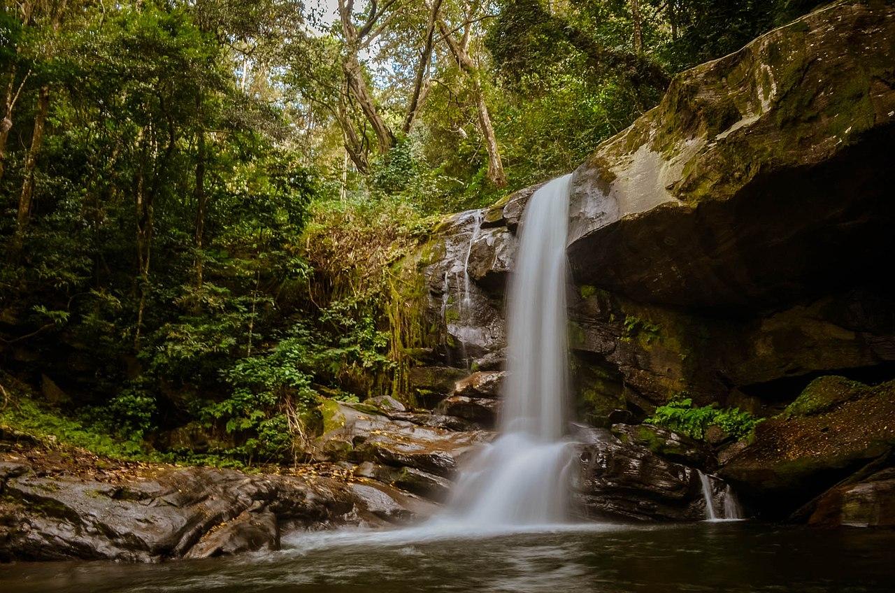 Udzungwa Habitat